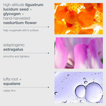 Load image into Gallery viewer, phyto nature oxygen cream - Dermalogica Malaysia