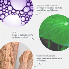 Load image into Gallery viewer, stabilizing repair cream - Dermalogica Malaysia