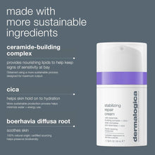 Load image into Gallery viewer, stabilizing repair cream - Dermalogica Malaysia
